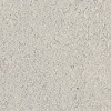 TAM87116_paint.jpg