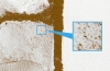 TAM87120_diorama1