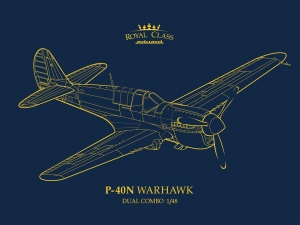 Eduard R0025 1/48 P-40N Warhawk [Royal Class Dual Combo]