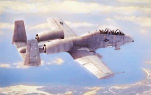 HobbyBoss 80324 1/48 N/AW A-10A Thunderbolt II