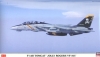 Hasegawa 00613 1/72 F-14B Tomcat "Jolly Rogers VF-103"