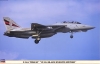 Hasegawa 09884 1/48 F-14A Tomcat "VF-154 Black Knights History"