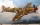 Hasegawa 08195 1/32 P-40N Warhawk "15,000th Anniversary”