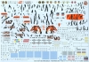 HAS07318_decal.jpg