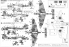 HAS07337_marking.jpg