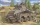 AFV Club AF35231 1/35 Sd.Kfz 231 8-Rad Schwere Panzerspahwagen (Early Type)