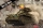Das Werk DW35008 1/35 Borgward IV Panzerjaeger Wanze